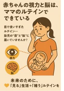ルテインの胎児への重要性②