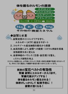 純粋倫理と同じ！