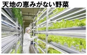 ルテイン　目と子宮を保護する