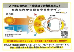 進化とカロテノイド